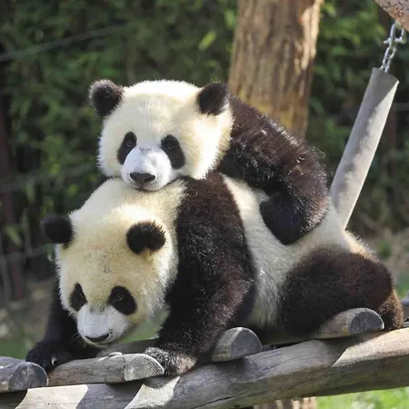 Charming In Walcourt, 30 M², With Terrace *