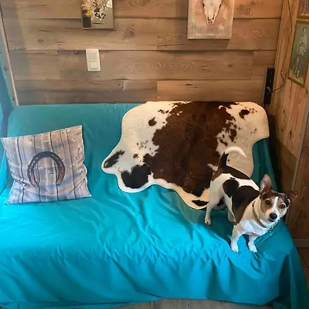 Charming In Walcourt, 30 M², With Terrace * Walcourt