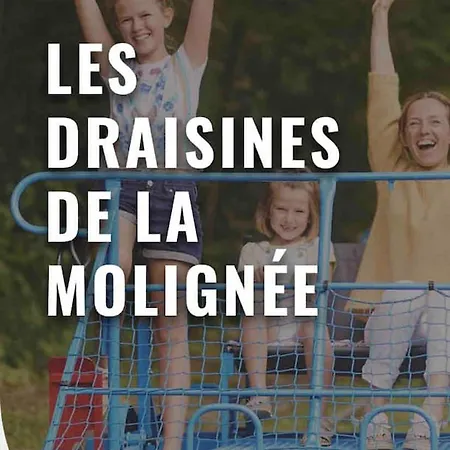 公寓 Charming In Walcourt, 30 M², With Terrace *